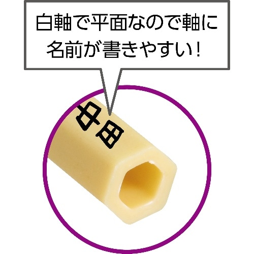 [取寄5]ナイロン六角白軸デザイン 彩色筆中 24041