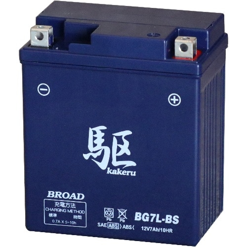 [取寄10]BG7L-BS 青(ブルー) [4536638900758]