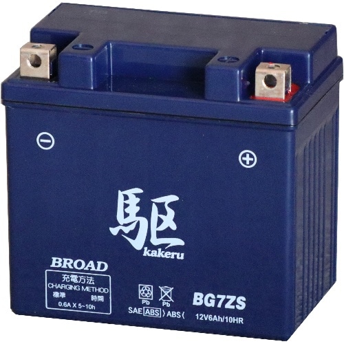 [取寄10]BG7-ZS 青(ブルー) [4536638900796]
