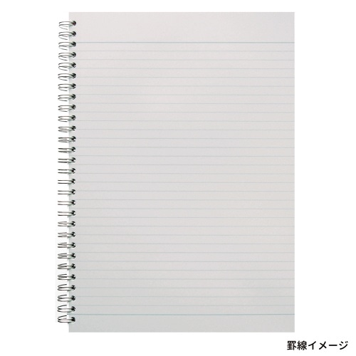 [取寄10]B5ノートセプトクルール N571B09 オレンジ [4979093571277]