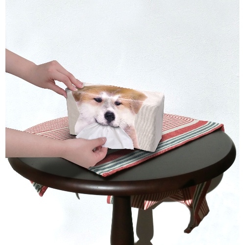 [取寄10]秋田犬プリントティッシュケース ME156 [4956019111557]