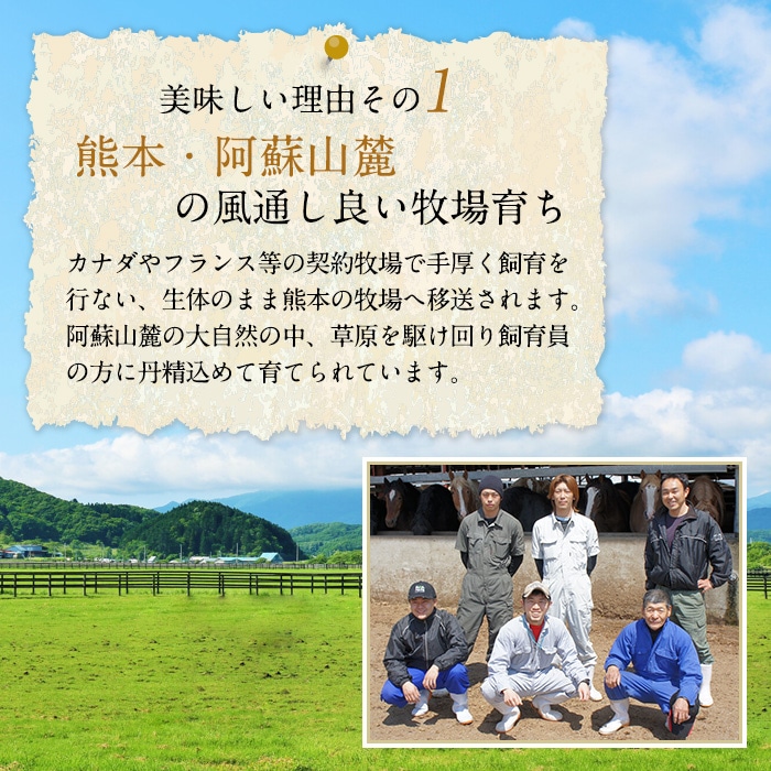 [冷凍][直送5]ふじ馬刺し 赤身 霜降り 食べ比べセット 送料無料