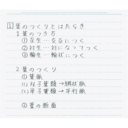 [取寄10]キャンパスノート幅広ドットUL罫セミB5 ノ-D3ULT [4901480260440]