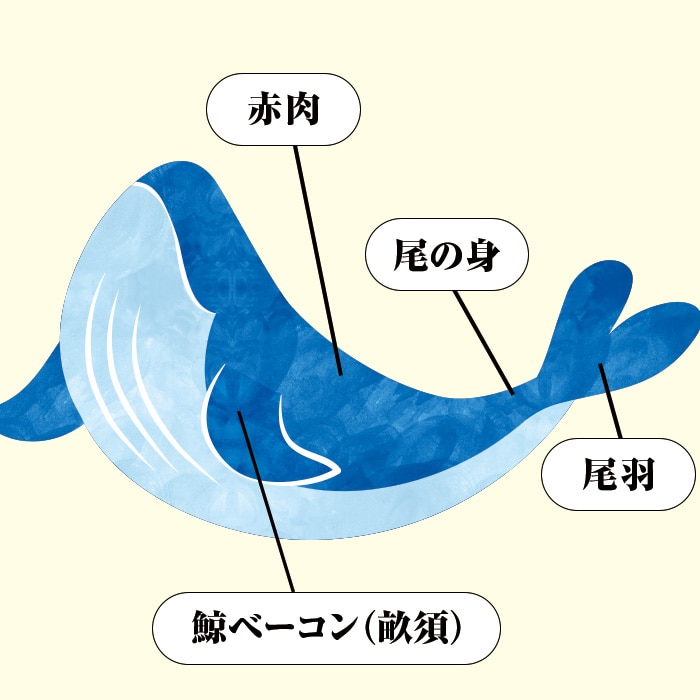 [冷凍][直送5]送料無料 鯨肉 味わい4種セット 【配送指定日不可】