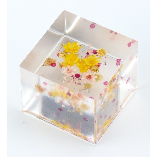 [取寄5]2液性レジン 300g 39026