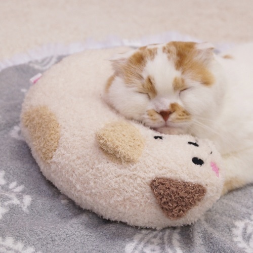 [取寄10]ドギーマン ハヤシあごのせ猫枕みけニャン [1個][4976555878462]
