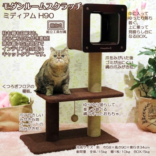 [取寄10]ドギーマン モダンルームスクラッチミディアムH90 [1個][4976555841770]