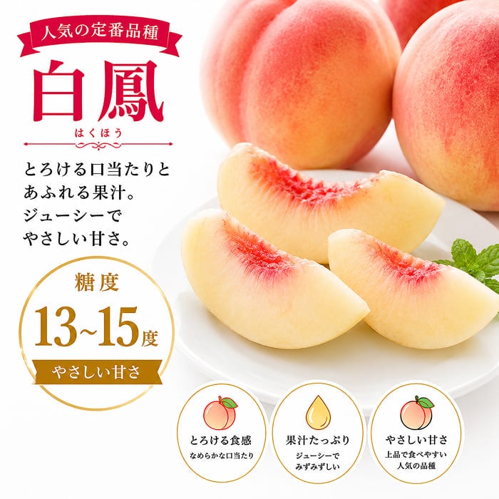 [直送商品]長野県 志賀高原産 もも 特秀 18玉 約5kg 送料無料 【綿半お中元】【7月後半～8月中旬順次発送】【配送指定日不可】