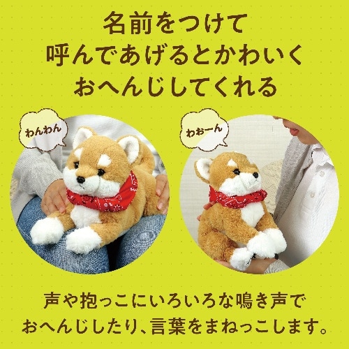 [取寄5]よんで！だっこして！おへんじアニマル  柴犬 33002