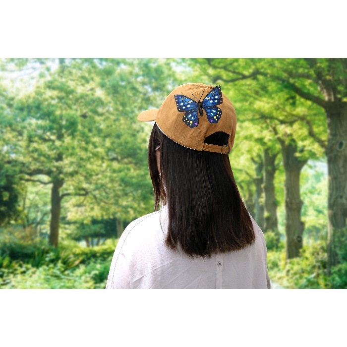 蝶標本　キンちゃん　リクエスト品 蝶標本 北海道産ムモンアカシジミ♂♀ 採集品 ⭐️キンちゃん様