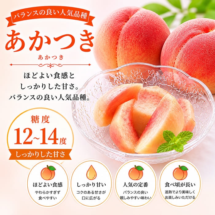 [直送商品]長野県 志賀高原産 もも 特秀 18玉 約5kg 送料無料 【綿半お中元】【7月後半～8月中旬順次発送】【配送指定日不可】