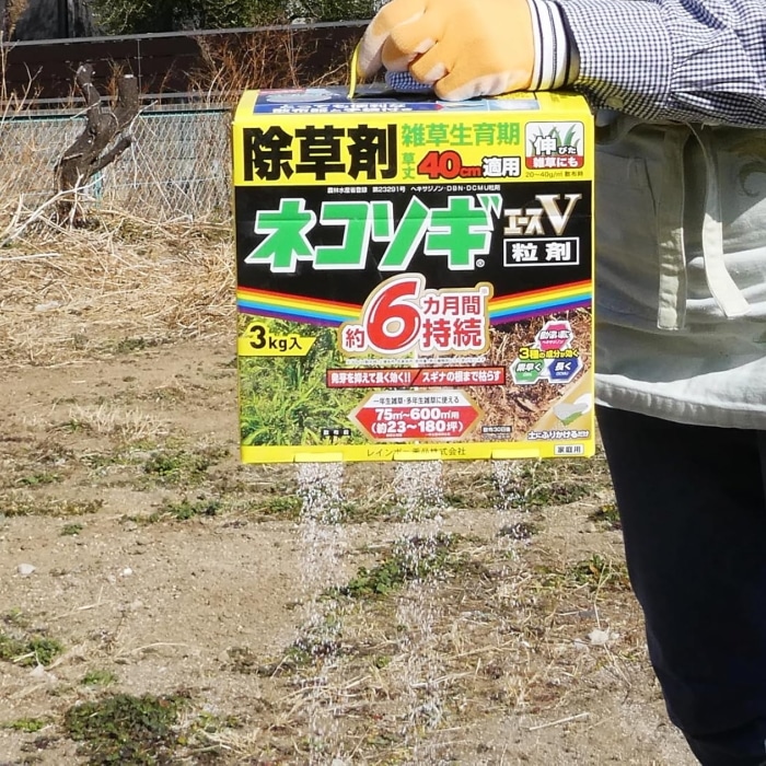 レインボー薬品 除草剤 ネコソギエースV粒剤 3kg