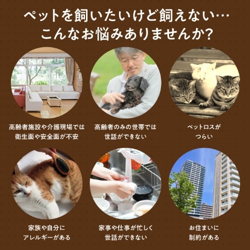 [取寄5]よんで！だっこして！おへんじアニマル  柴犬 33002
