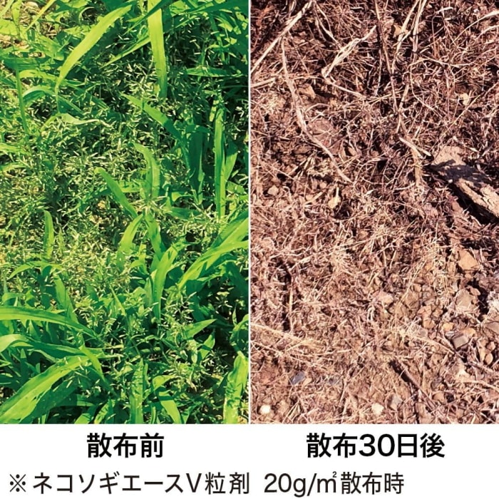 レインボー薬品 除草剤 ネコソギエースV粒剤 3kg
