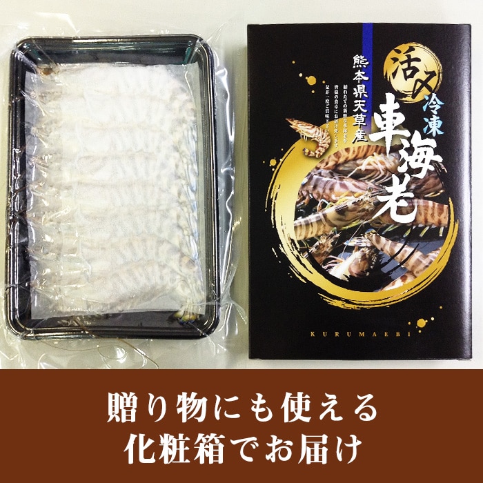 [冷凍][直送5]送料無料 天草産活〆冷凍車海老 250g