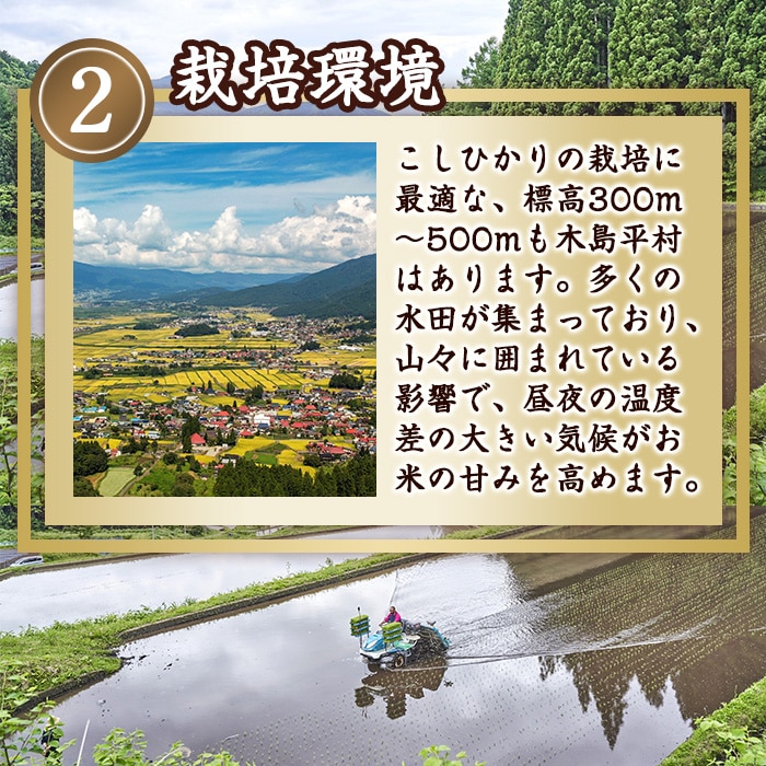 [直送10]木島平産 こしひかり 竹内農園 15kg 【配送指定日不可】