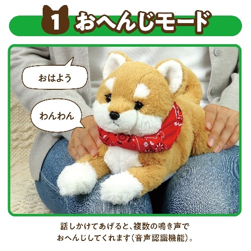 [取寄5]よんで！だっこして！おへんじアニマル  柴犬 33002