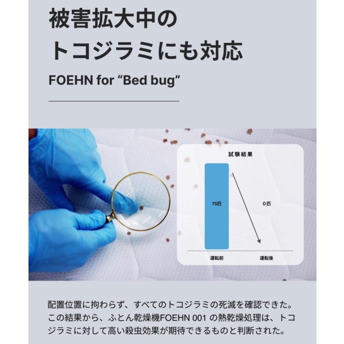 FOEHN PRO FEN-P01-SB ストーンブラック (布団乾燥機)