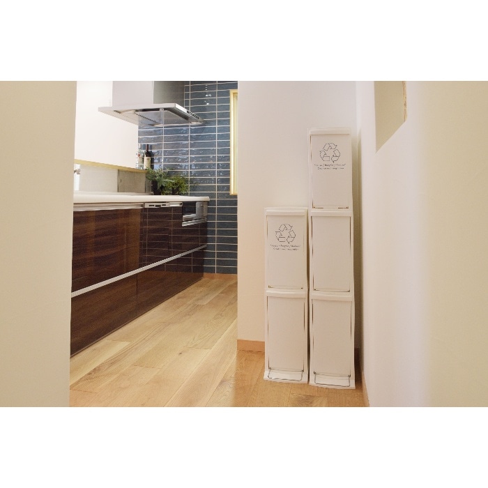 [直送3]ゴミ箱 ダストボックス2段タイプ 20L(1段あたり10L) LFS-932WH ホワイト (幅21×奥行37×高さ80)(本州四国九州限定)