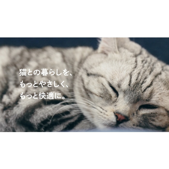 BlueDeo S にゃんこモデル MC-S311C