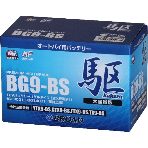 [取寄10]BG9-BS 青(ブルー) [4536638900871]