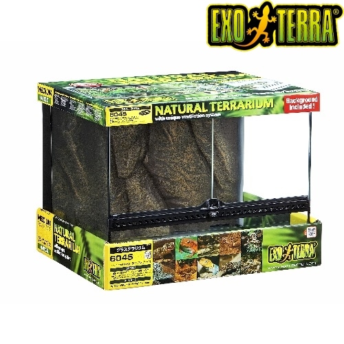 最安値で  EXOTERRA グラステラリウム 6030 GEX ジェックス 爬虫類/両生類用品