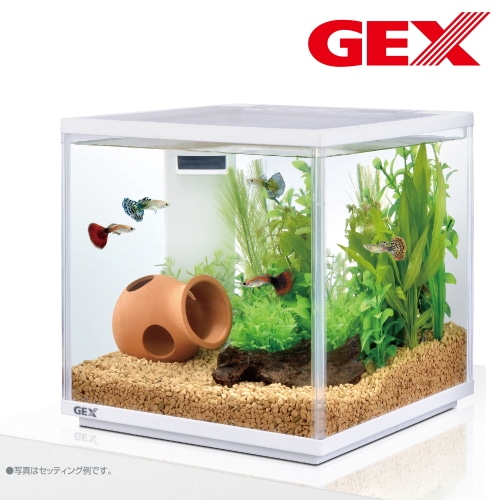 GEX(ジェックス) 水槽セット サイレントフィット キューブ 250 アクアリウム
