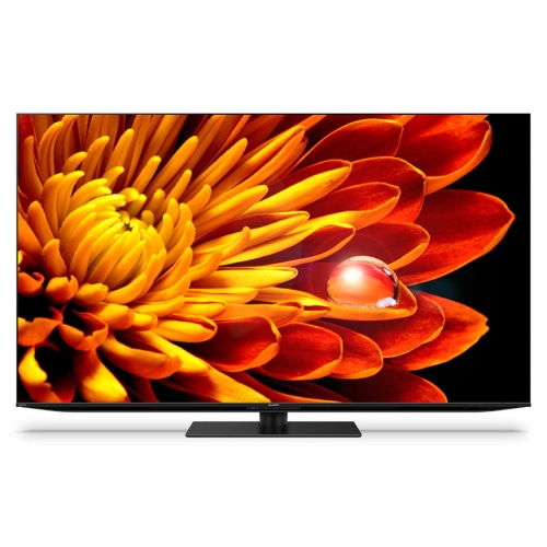 [大型特配]AQUOS XLED 4T-C65EP1 [65インチ]