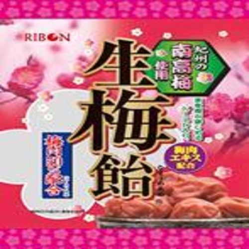 [取寄10]生梅飴 [1個][4903316443706]