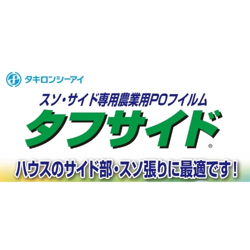 [取寄10]タフサイド [100m巻][4931877312957]