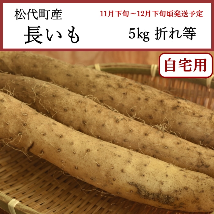 [予約直送]送料無料 長野県松代町産 長いも 家庭用 5kg 折れ等 【綿半お歳暮】【11月下旬～12月下旬順次発送】【配送指定日不可】