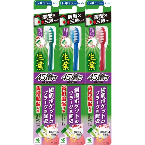 生葉45°磨きブラシ レギュラー ふつう
