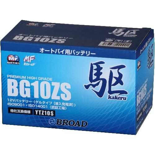 [取寄10]BG10ZS 青(ブルー) [4536638900901]