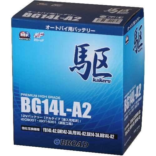 [取寄10]BG14L-A2 青(ブルー) [4536638900826]