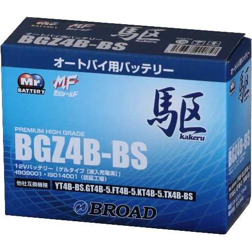 [取寄10]BG4B-BS 青(ブルー) [4536638900857]