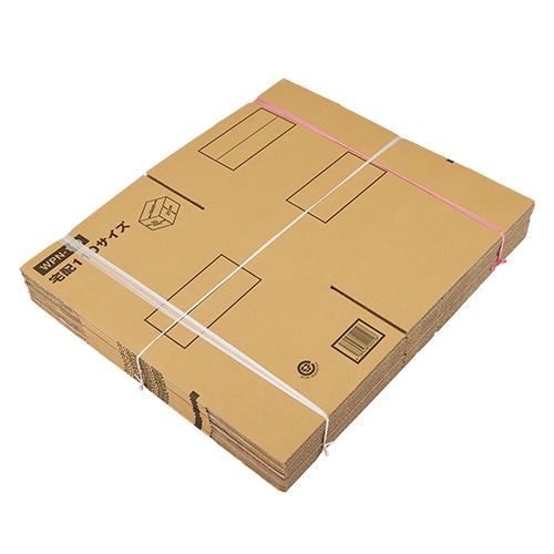 ダンボール お買得10枚組 WPN－110 [1枚]