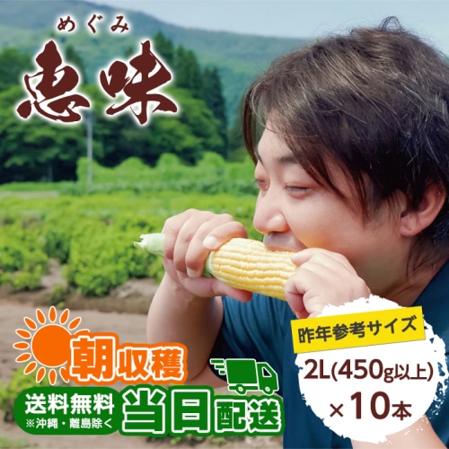 【綿半/フルーツ・野菜特集】信濃町産トウモロコシ 恵味 めぐみ 2L (450g)以上 10本 [冷蔵][予約直送]【8月頃順次お届け予定/配送日指定不可】