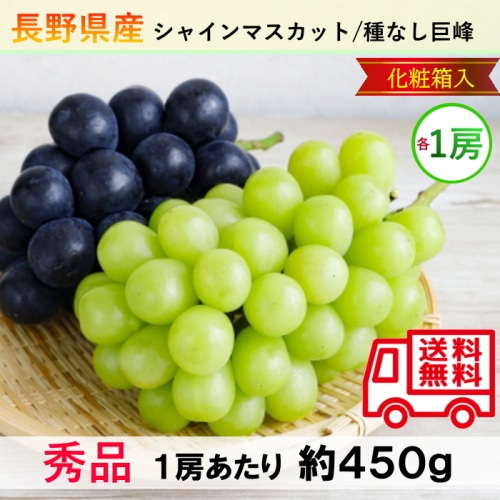 【綿半/フルーツ・野菜特集】長野県産 シャインマスカット・種なし巨峰 詰め合わせセット 2房 [予約直送]【7月後半～8月中旬お届け予定/配送日指定不可】