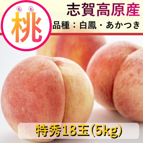 【綿半/フルーツ・野菜特集】長野県 志賀高原産 もも 特秀 1箱 18玉 約5kg 送料無料 [予約直送]【7月後半～8月中旬お届け予定/配送日指定不可】