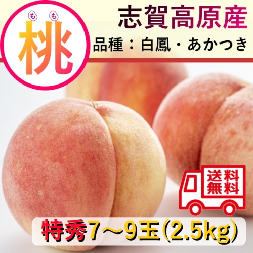 【綿半/フルーツ・野菜特集】長野県 志賀高原産 もも 特秀 1箱 7～9玉 約2.5kg 送料無料 [予約直送]【7月後半～8月中旬お届け予定/配送日指定不可】