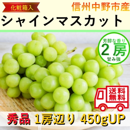 【綿半/フルーツ・野菜特集】長野県産 シャインマスカット 2房 約900g 送料無料 [予約直送]【7月後半～8月中旬お届け予定/配送日指定不可】