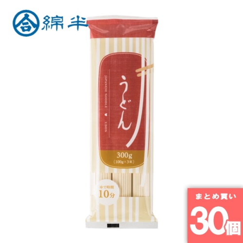 [取寄10][まとめ買い]【30個セット】うどん 300g [4589458499681]