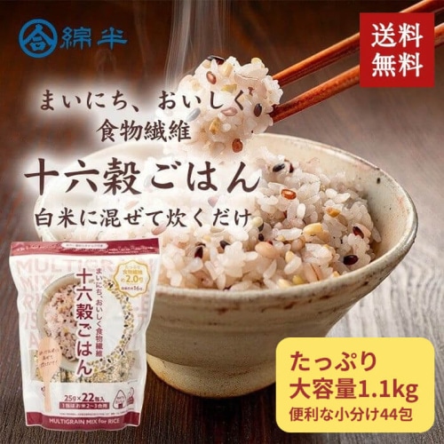 [まとめ買い]【2袋セット】十六穀ごはん 25g×22包入り 総重量1.1kg