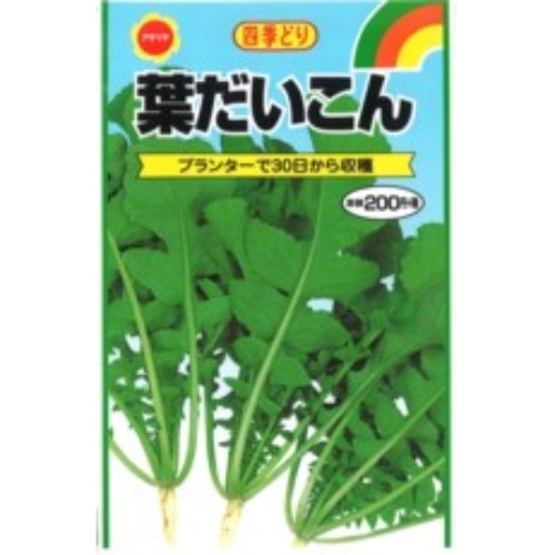 四季取り葉大根