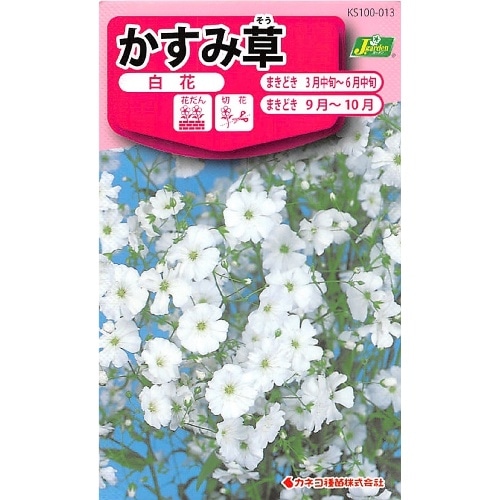 カネコ かすみ草白花 0.9ml