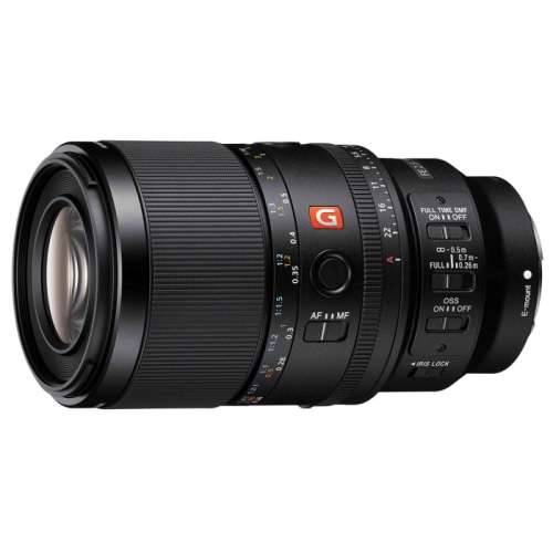 FE 100mm F2.8 Macro GM OSS SEL100M28GM