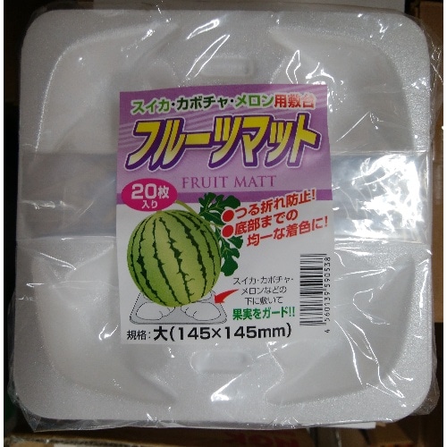 フルーツ枕 大 20P