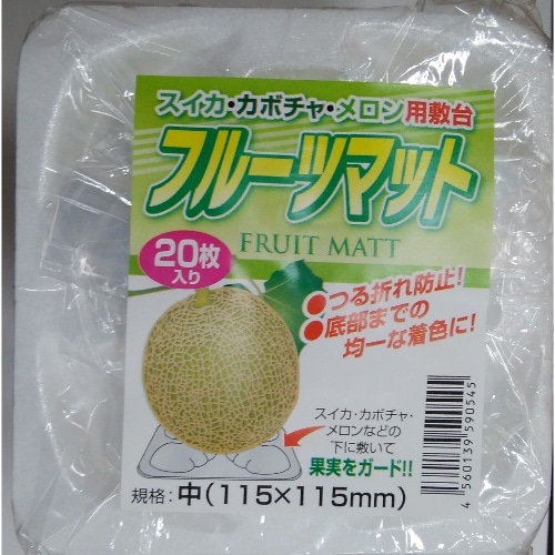 フルーツ枕 中 20P