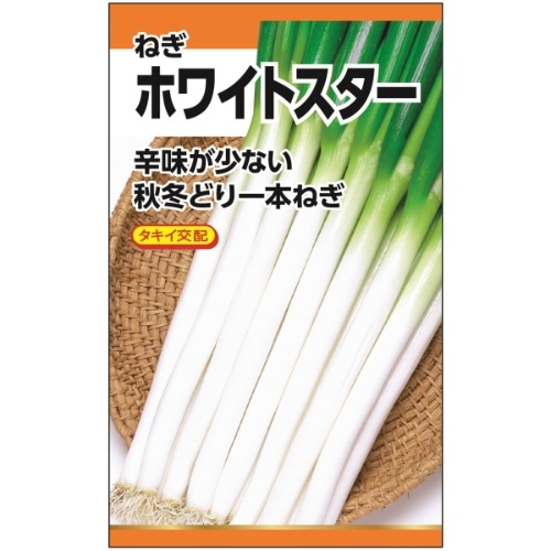 ホワイトスター