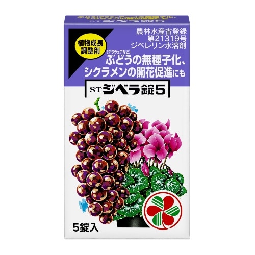 ジベラ錠5 [5錠入]